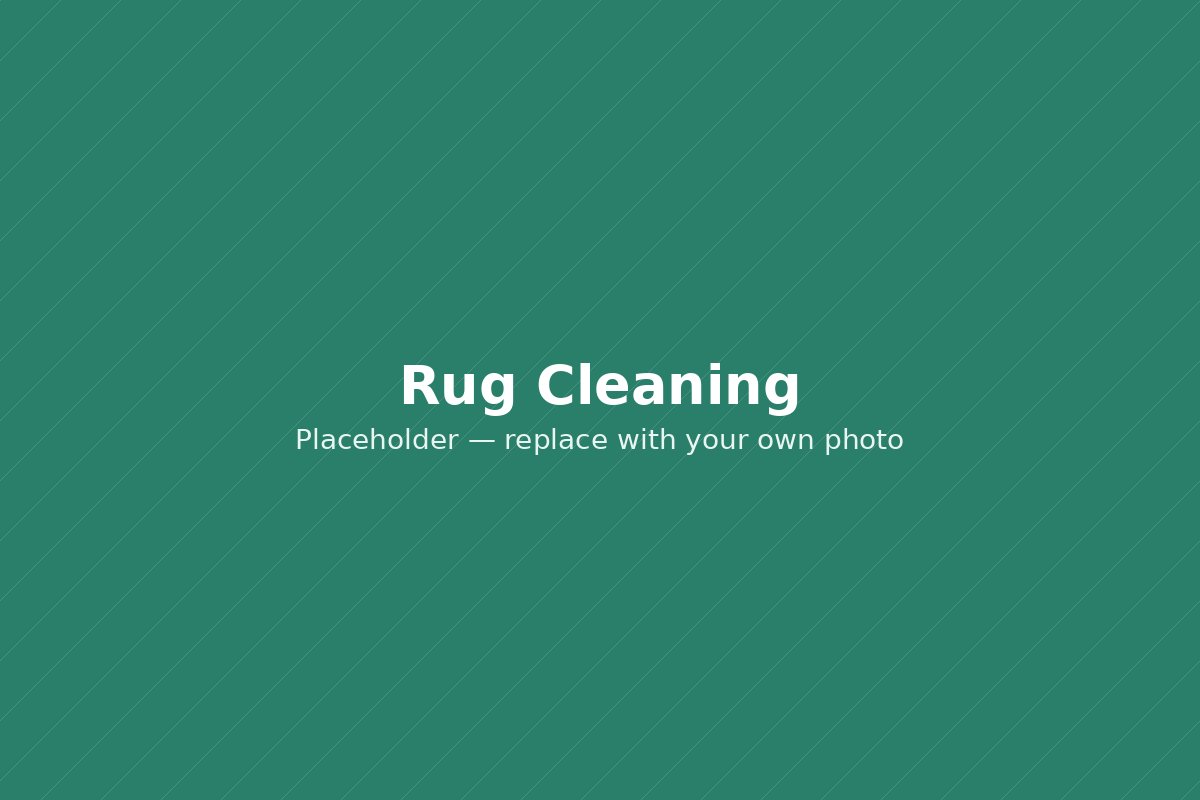 Area rug being steam cleaned