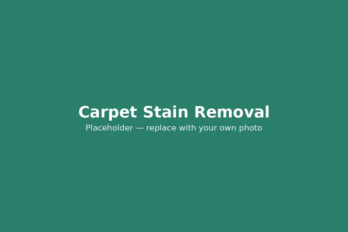 Carpet stain being spot treated