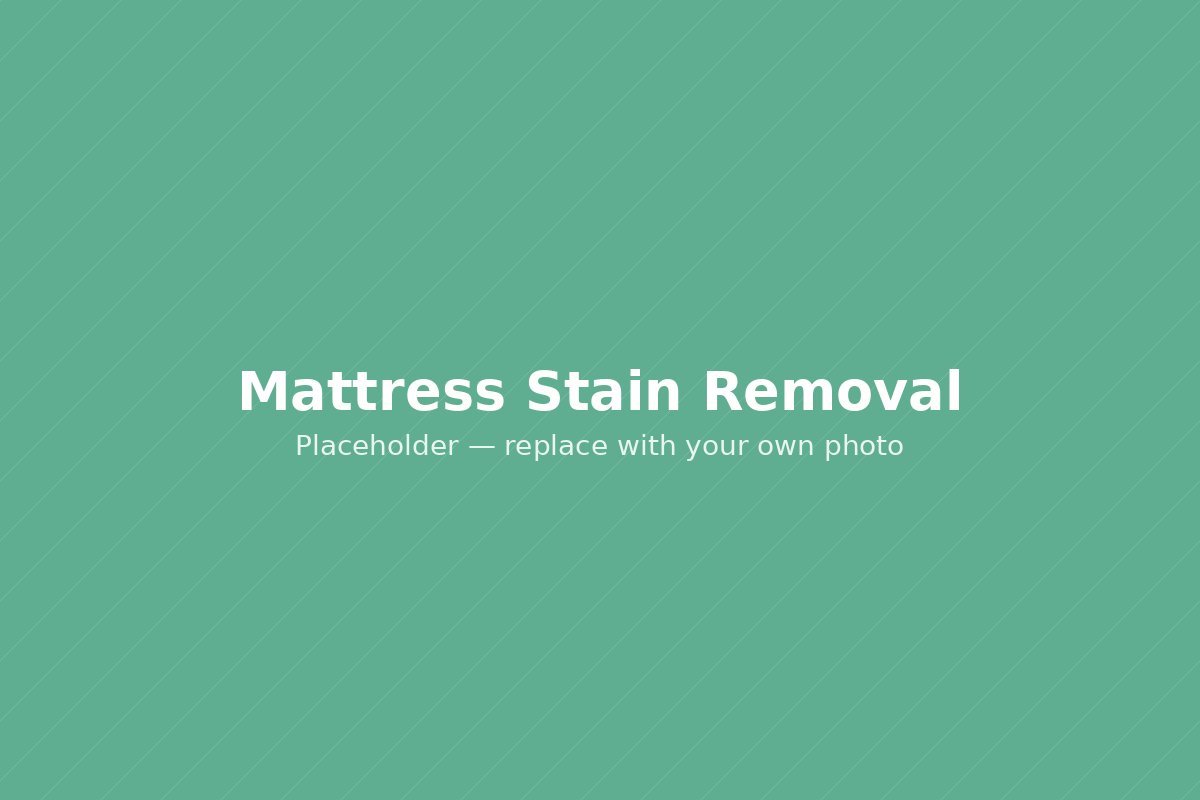 Mattress stain being spot treated